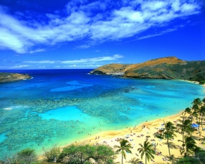 great-beach-hawaii-picture[1]
